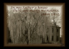 5x7 Print - Mansions